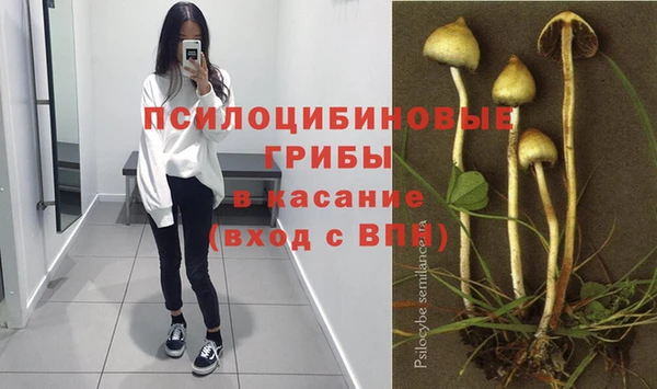 твердый Навашино