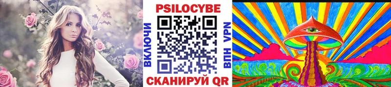 Псилоцибиновые грибы Psilocybine cubensis  Цоци-Юрт 