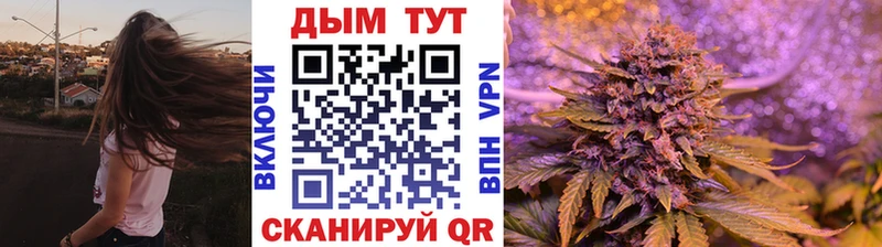 Бошки марихуана MAZAR  Цоци-Юрт 